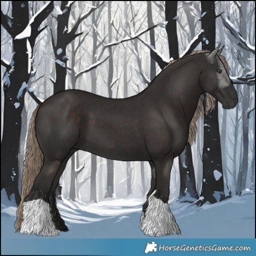 Horse Color:Liver Chestnut Tobiano 