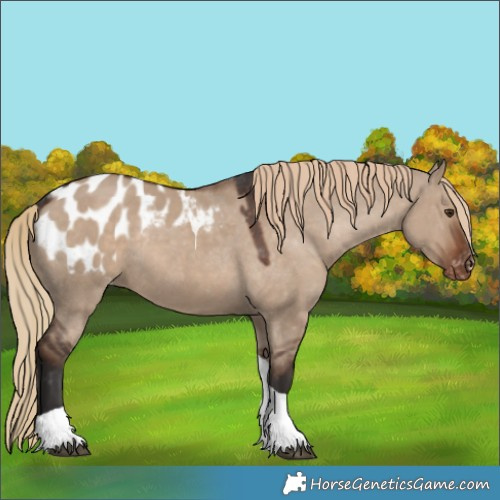 Horse Color:Liver Red Dun Tobiano Blanket Rabicano 