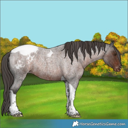 Horse Color:Liver Red Roan Tobiano Snowcap Rabicano 