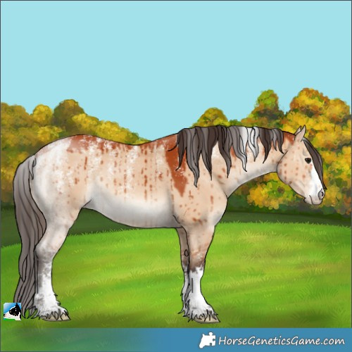 Horse Color:Powder White Bay Dun Brindle 