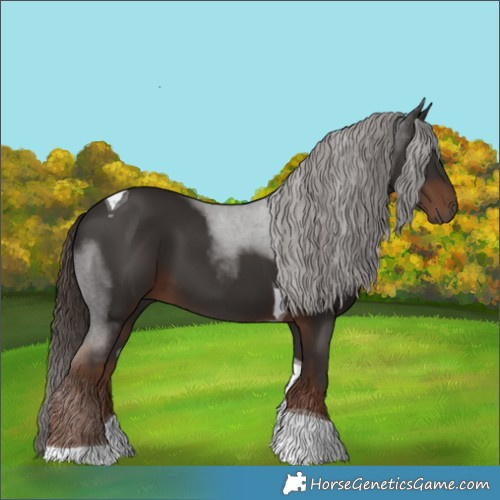 Horse Color:Liver Chestnut Tobiano 