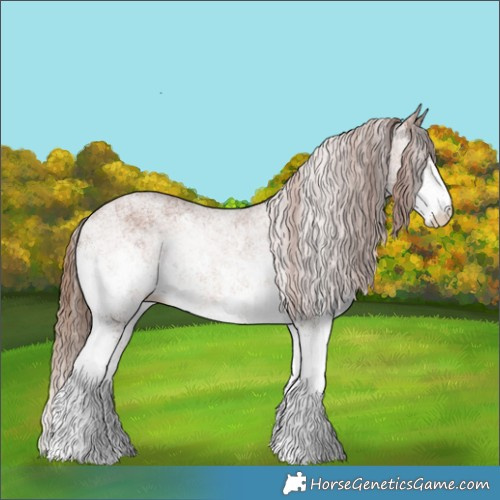 Horse Color:White Spotted Chestnut