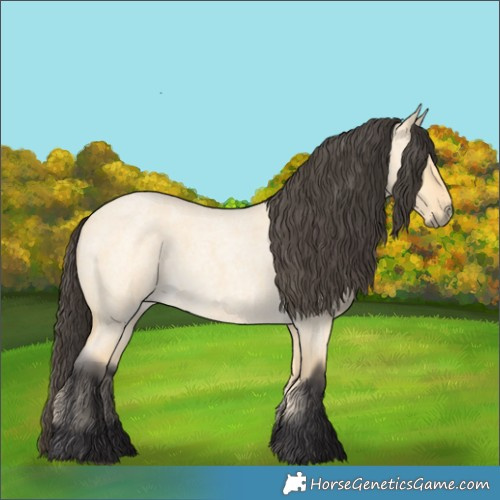 Horse Color:Buckskin Roan Dun 