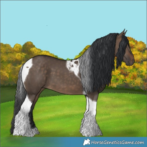 Horse Color:Brown Dun Tobiano 