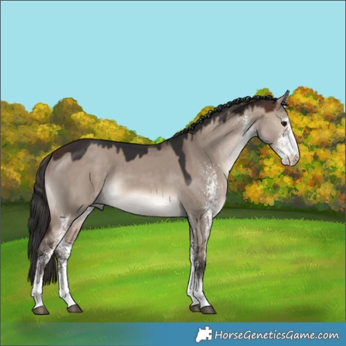 Horse Color:White Spotted Brown Dun Mushroom