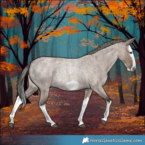Horse Color:Liver Red Dun Roan Mushroom Splash Frame Rabicano 