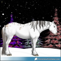 Horse Color:White Spotted Buckskin 