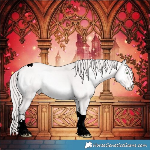 Horse Color:Void Platinum Perlino Onyx Tobiano 