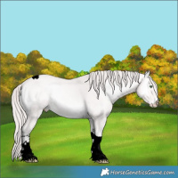 Horse Color:Void Platinum Perlino Onyx Tobiano 
