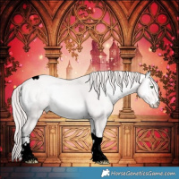 Horse Color:Void Platinum Perlino Onyx Tobiano