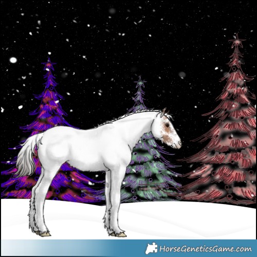 Horse Color:White Spotted Bay 