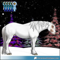 Horse Color:White Spotted Bay
