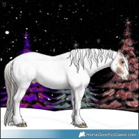 Horse Color:White Spotted Bay 