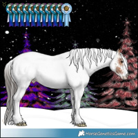 Horse Color:White Spotted Bay 
