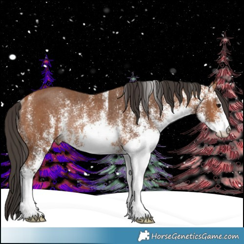 Horse Color:White Spotted Bay Rabicano 
