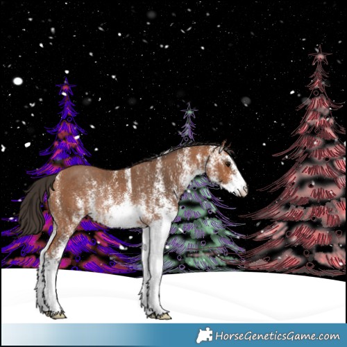 Horse Color:White Spotted Bay Rabicano