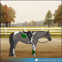 Horse Color:Grullo Tobiano