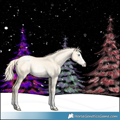 Horse Color:Palomino Pearl Dun Sabino Rabicano 