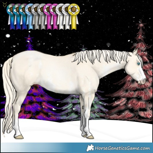 Horse Color:Palomino Pearl Dun Sabino Rabicano