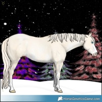 Horse Color:Palomino Pearl Dun Sabino Rabicano 