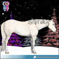 Horse Color:Palomino Pearl Dun Sabino Rabicano