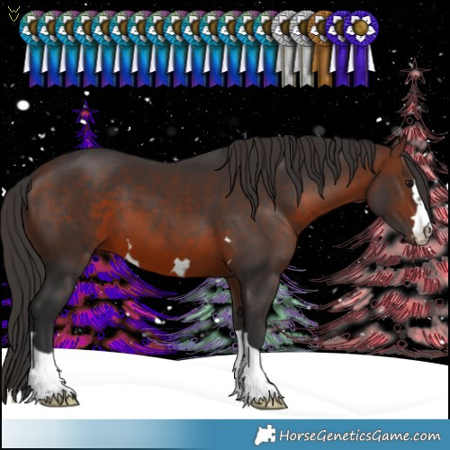 Horse Color:Brown 