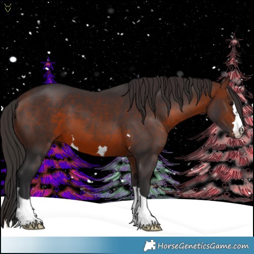Horse Color:Brown 