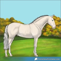 Horse Color:Cremello