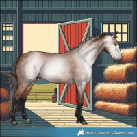 Horse Color:Gray Bay 