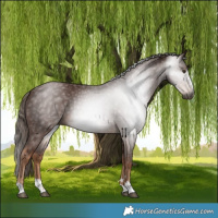 Horse Color:Gray Chestnut