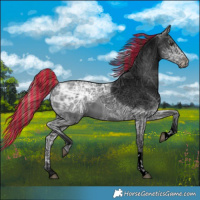 Horse Color:Void Painted Liver Chestnut Ice Tobiano 