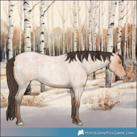 Horse Color:Amber Champagne Roan 