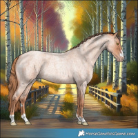 Horse Color:Gold Champagne Roan 