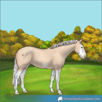 Horse Color:Silver Classic Champagne Dun Splash Frame 