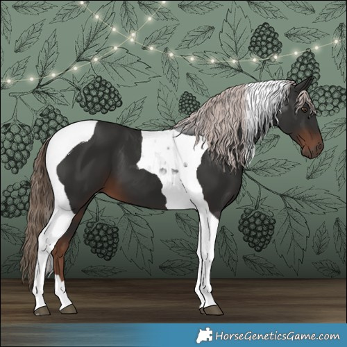 Horse Color:Liver Chestnut Tobiano 
