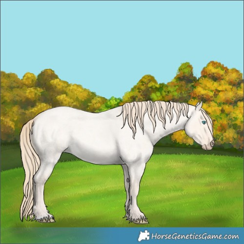 Horse Color:Perlino Roan Dun 