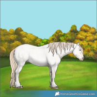 Horse Color:Perlino Roan Dun 