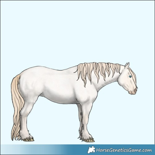 Horse Color:Perlino Roan Dun 