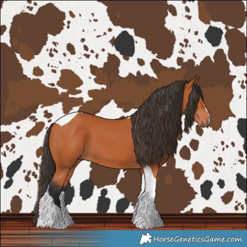 Horse Color:Bay Tobiano 
