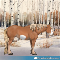Horse Color:Chestnut Frame