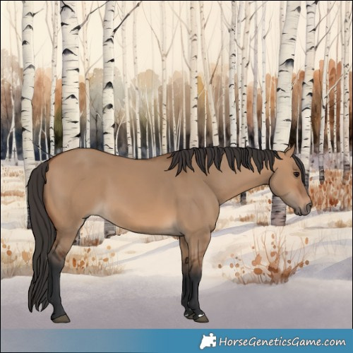 Horse Color:Bay Dun 