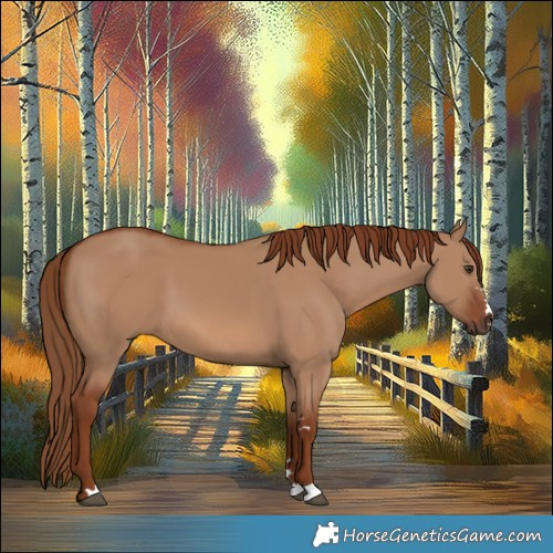 Horse Color:Red Dun 