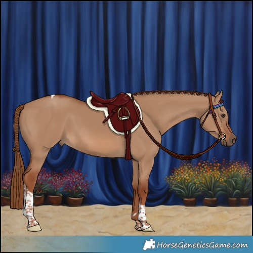Horse Color:Red Dun Tobiano 