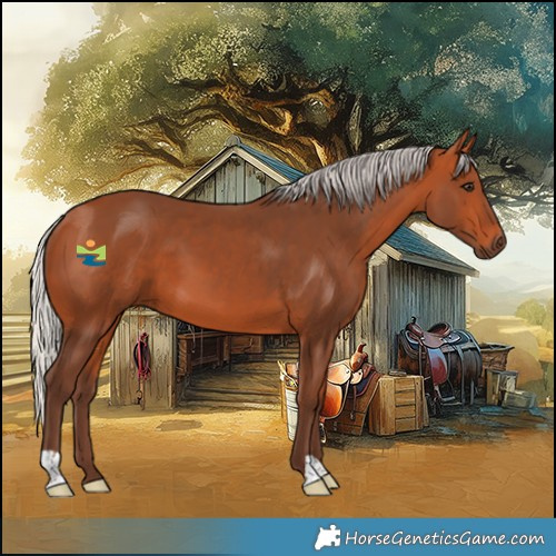 Horse Color:Silver Bay 