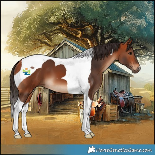Horse Color:Bay Tobiano 