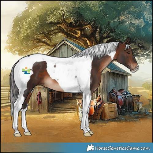 Horse Color:Brown Tobiano 