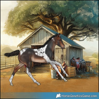 Horse Color:Bay Tobiano 