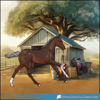 Horse Color:Silver Brown