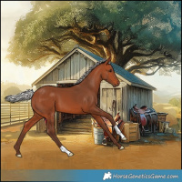 Horse Color:Silver Bay 