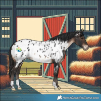 Horse Color:Brown Near Leopard 